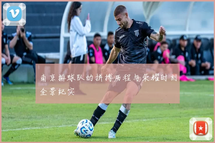 南京排球队的拼搏历程与荣耀时刻全景纪实