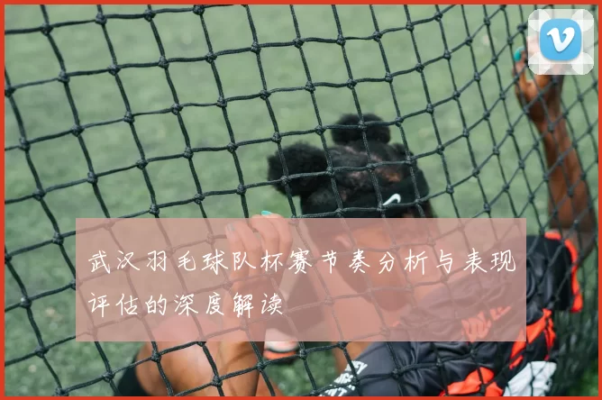 武汉羽毛球队杯赛节奏分析与表现评估的深度解读