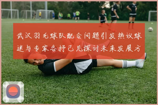 武汉羽毛球队配合问题引发热议球迷与专家各抒己见探讨未来发展方向