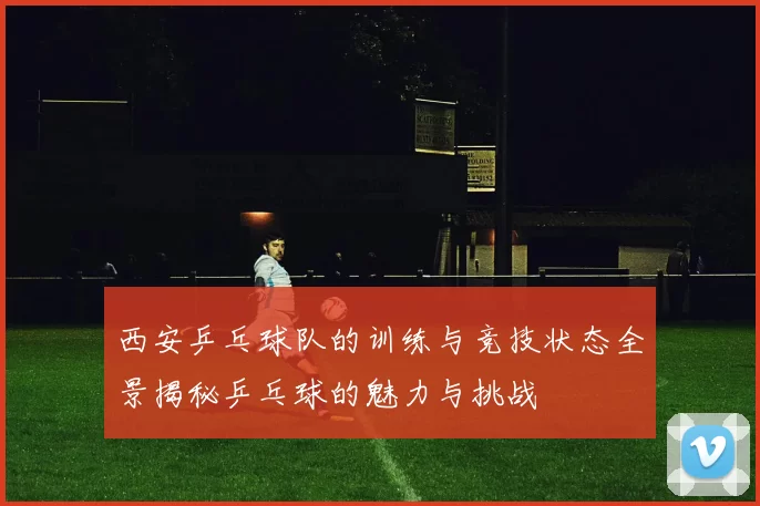 西安乒乓球队的训练与竞技状态全景揭秘乒乓球的魅力与挑战