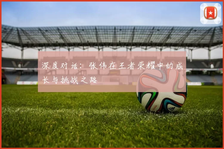 深度对话：张伟在王者荣耀中的成长与挑战之路