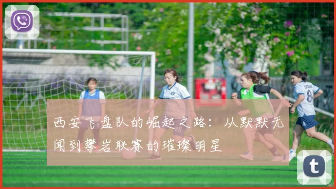 西安飞盘队的崛起之路：从默默无闻到攀岩联赛的璀璨明星