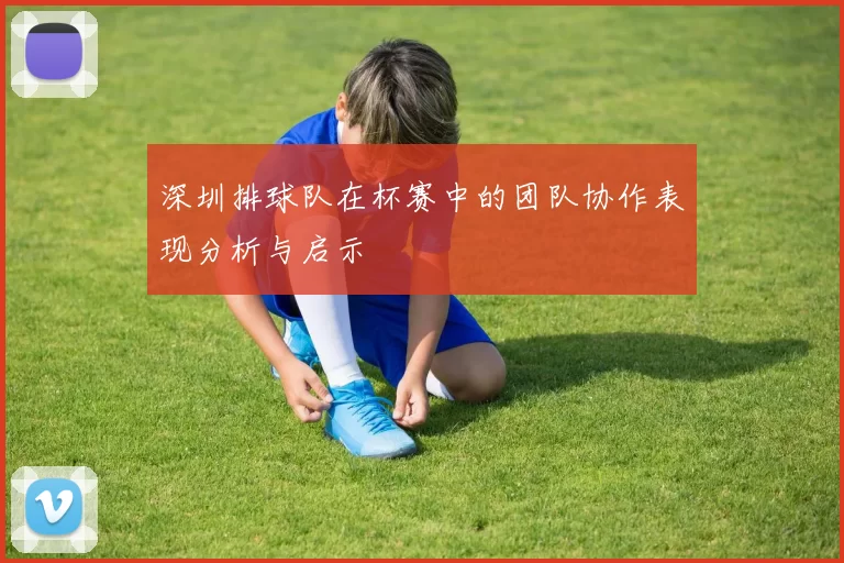深圳排球队在杯赛中的团队协作表现分析与启示