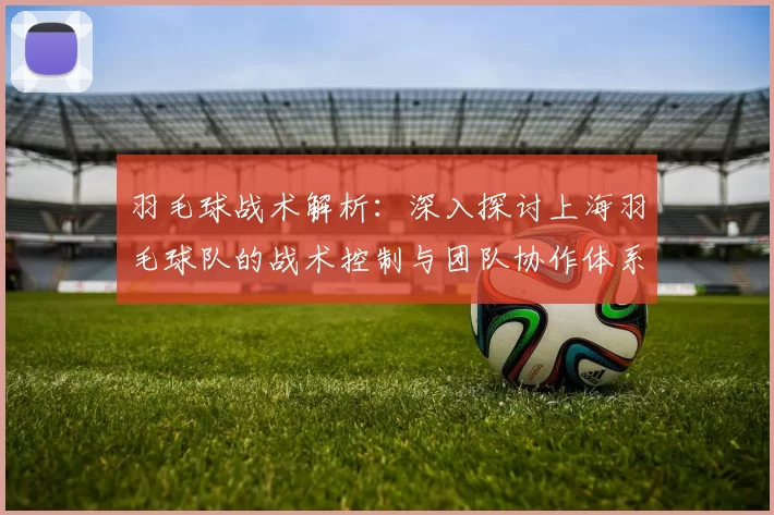 羽毛球战术解析：深入探讨上海羽毛球队的战术控制与团队协作体系