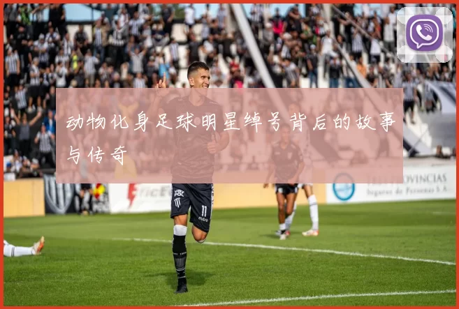 动物化身足球明星绰号背后的故事与传奇