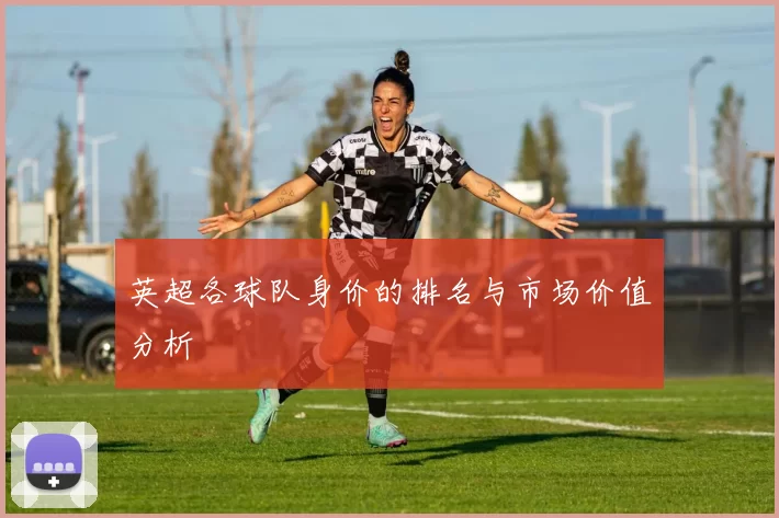 英超各球队身价的排名与市场价值分析