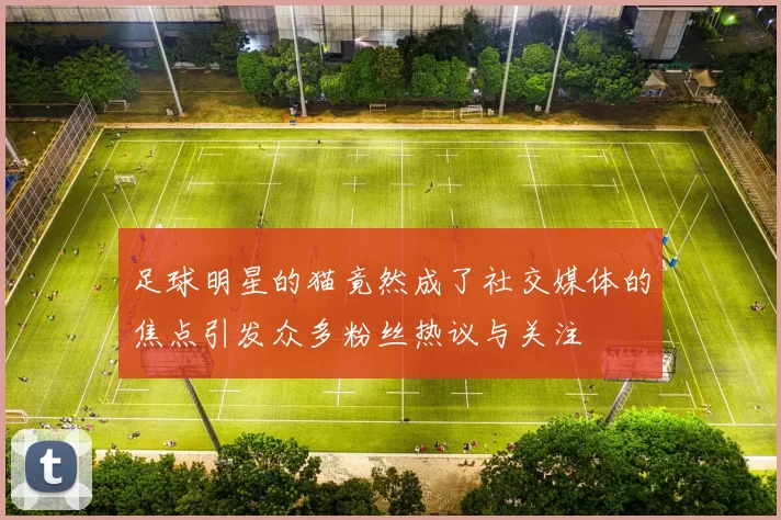 足球明星的猫竟然成了社交媒体的焦点引发众多粉丝热议与关注