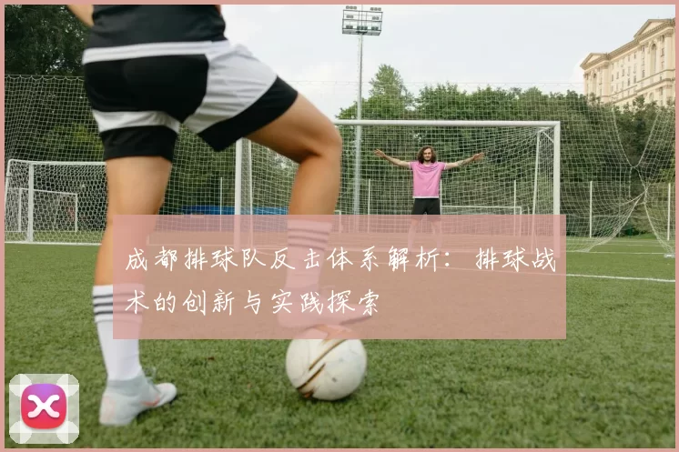 成都排球队反击体系解析：排球战术的创新与实践探索