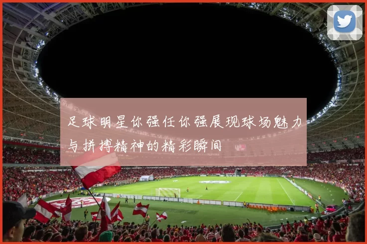 足球明星你强任你强展现球场魅力与拼搏精神的精彩瞬间