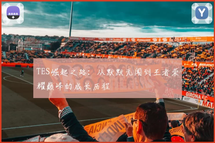 TES崛起之路：从默默无闻到王者荣耀巅峰的成长历程
