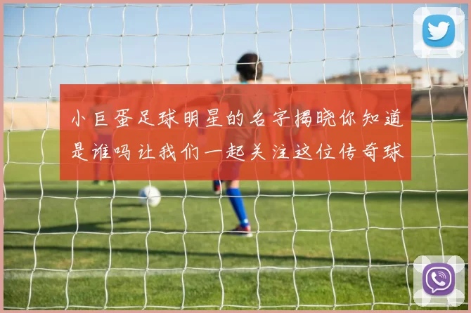 小巨蛋足球明星的名字揭晓你知道是谁吗让我们一起关注这位传奇球员的故事