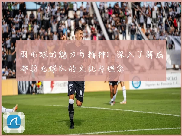 羽毛球的魅力与精神：深入了解成都羽毛球队的文化与理念