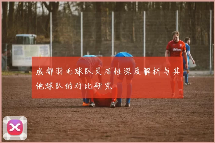 成都羽毛球队灵活性深度解析与其他球队的对比研究