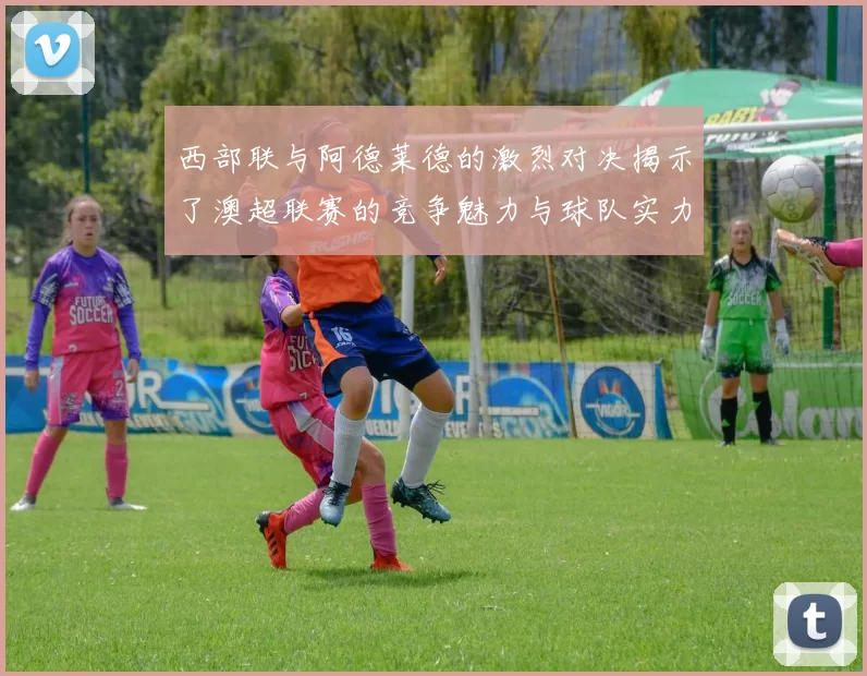西部联与阿德莱德的激烈对决揭示了澳超联赛的竞争魅力与球队实力较量