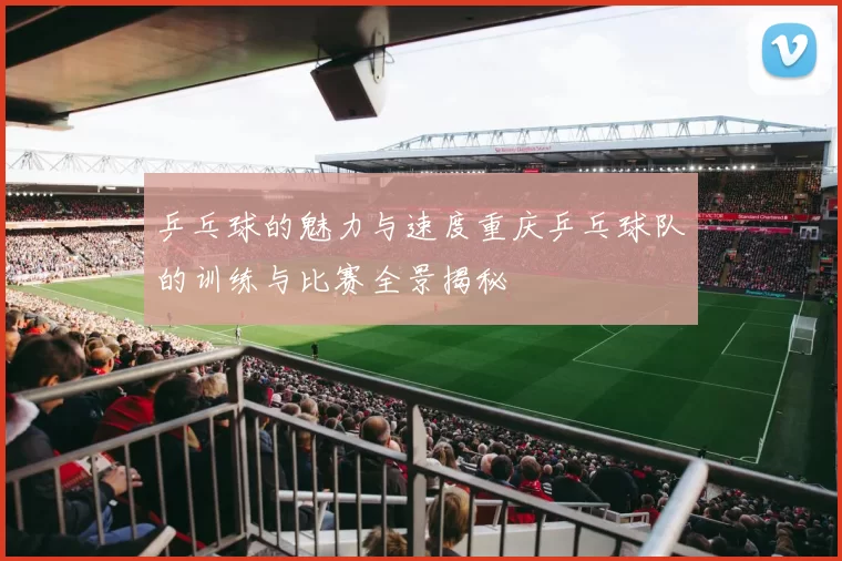 乒乓球的魅力与速度重庆乒乓球队的训练与比赛全景揭秘