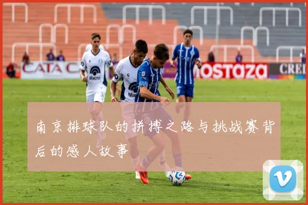 南京排球队的拼搏之路与挑战赛背后的感人故事